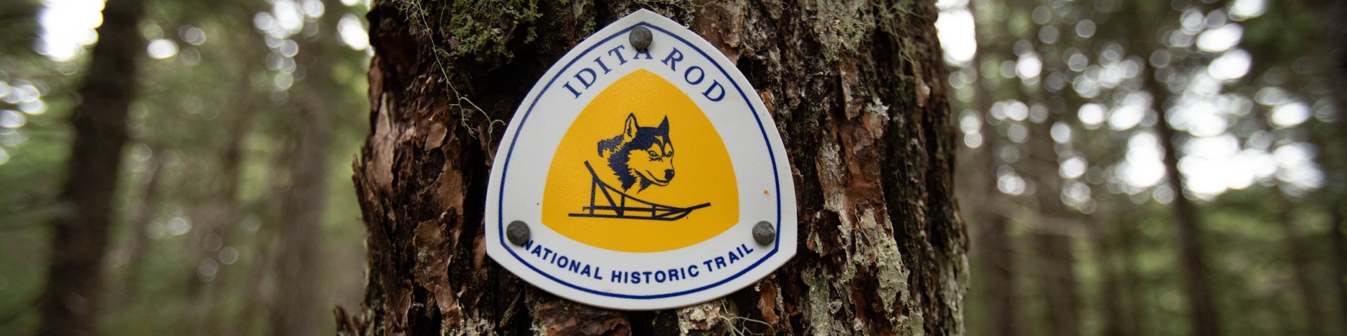 A historic Iditarod trail marker in Chugach National Forest, US Forest Service