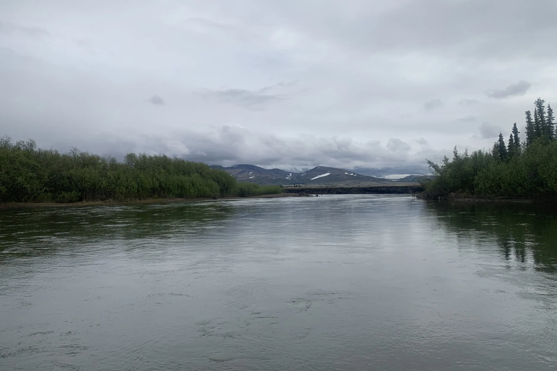 The Unalakleet River and its forested banks under a grey Alaska sky